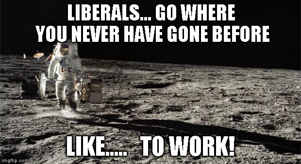 Moon landing | LIBERALS... GO WHERE YOU NEVER HAVE GONE BEFORE; LIKE.....   TO WORK! | image tagged in moon landing | made w/ Imgflip meme maker