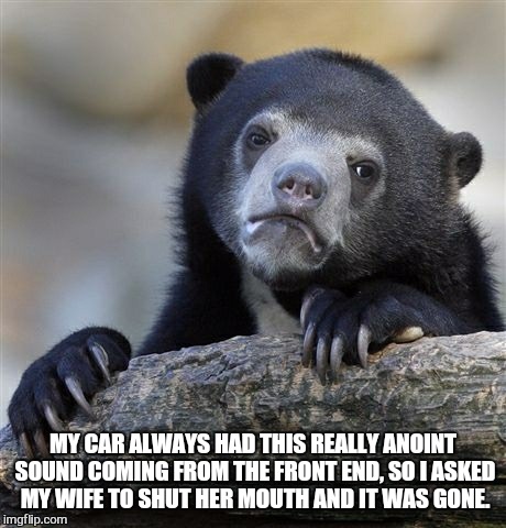 Confession Bear Meme | MY CAR ALWAYS HAD THIS REALLY ANOINT SOUND COMING FROM THE FRONT END, SO I ASKED MY WIFE TO SHUT HER MOUTH AND IT WAS GONE. | image tagged in memes,confession bear | made w/ Imgflip meme maker