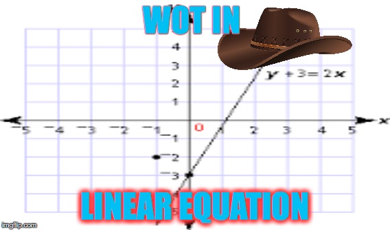 WOT IN; LINEAR EQUATION | image tagged in memes | made w/ Imgflip meme maker