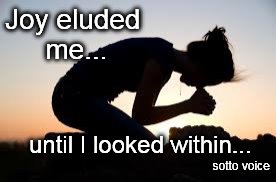Joy eluded me... until I looked within... sotto voice | image tagged in joy | made w/ Imgflip meme maker