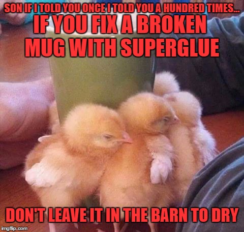 nice boy but he reminds me of paul revere's ride.. a little lite in the belfry | SON IF I TOLD YOU ONCE I TOLD YOU A HUNDRED TIMES... IF YOU FIX A BROKEN MUG WITH SUPERGLUE; DON'T LEAVE IT IN THE BARN TO DRY | image tagged in chicken | made w/ Imgflip meme maker