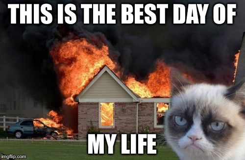 Burn Kitty | THIS IS THE BEST DAY OF; MY LIFE | image tagged in memes,burn kitty,grumpy cat | made w/ Imgflip meme maker