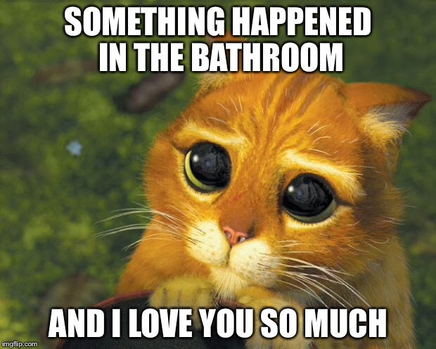 puss in boots | SOMETHING HAPPENED IN THE BATHROOM; AND I LOVE YOU SO MUCH | image tagged in puss in boots | made w/ Imgflip meme maker