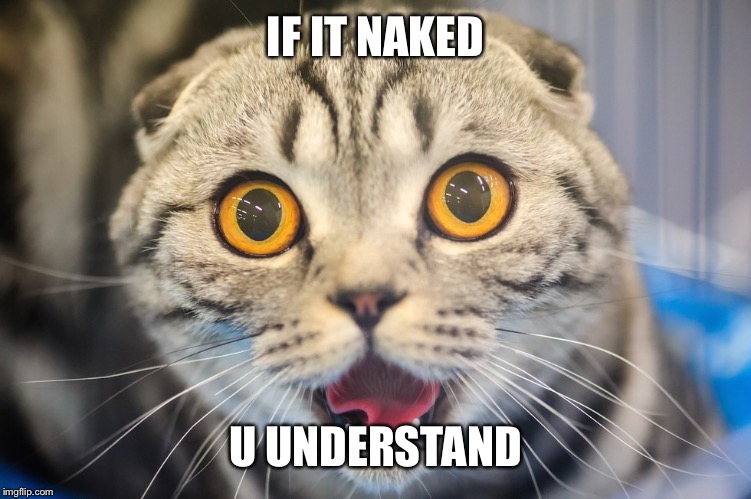 Scared cat | IF IT NAKED U UNDERSTAND | image tagged in scared cat | made w/ Imgflip meme maker