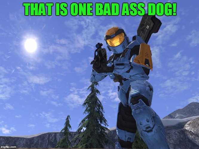 Demonic Penguin Halo 3 | THAT IS ONE BAD ASS DOG! | image tagged in demonic penguin halo 3 | made w/ Imgflip meme maker