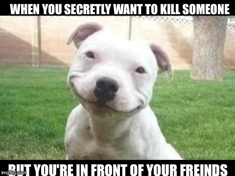 How I am | WHEN YOU SECRETLY WANT TO KILL SOMEONE; BUT YOU'RE IN FRONT OF YOUR FREINDS | image tagged in memes | made w/ Imgflip meme maker
