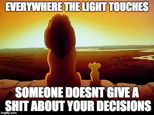 Lion King | EVERYWHERE THE LIGHT TOUCHES; SOMEONE DOESNT GIVE A SHIT ABOUT YOUR DECISIONS | image tagged in memes,lion king | made w/ Imgflip meme maker