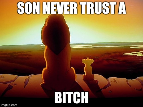 Lion King Meme | SON NEVER TRUST A; BITCH | image tagged in memes,lion king | made w/ Imgflip meme maker