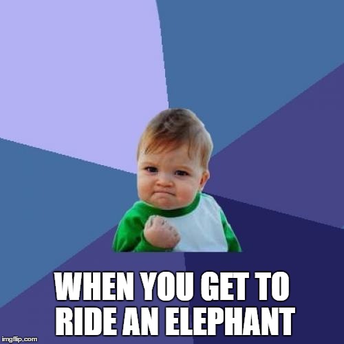 Success Kid Meme | WHEN YOU GET TO RIDE AN ELEPHANT | image tagged in memes,success kid | made w/ Imgflip meme maker