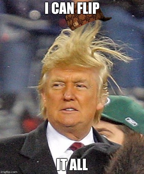 Donald Trumph hair | I CAN FLIP; IT ALL | image tagged in donald trumph hair,scumbag | made w/ Imgflip meme maker
