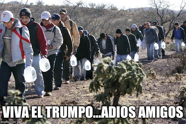 mexican immigration | VIVA EL TRUMPO...ADIOS AMIGOS | image tagged in mexican immigration | made w/ Imgflip meme maker