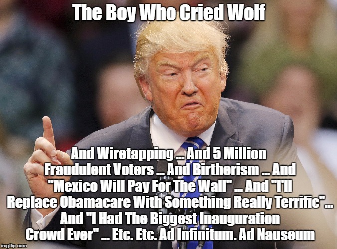 Trump: The Boy Who Cried Wolf... And Wiretapping ... And 5 Million Fraudulent Voters... And Birtherism... And Biggest Crowd Ever | The Boy Who Cried Wolf; And Wiretapping ... And 5 Million Fraudulent Voters ... And Birtherism ... And "Mexico Will Pay For The Wall" ... And "I'll Replace Obamacare With Something Really Terrific"... And "I Had The Biggest Inauguration Crowd Ever" ... Etc. Etc. Ad Infinitum. Ad Nauseum | image tagged in devious donald,deceptive donald,deplorable donald,dreadful donald,disgraceful donald,disreputable donald | made w/ Imgflip meme maker