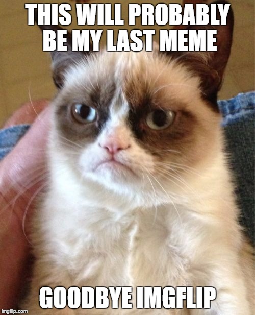 Grumpy Cat Meme | THIS WILL PROBABLY BE MY LAST MEME; GOODBYE IMGFLIP | image tagged in memes,grumpy cat | made w/ Imgflip meme maker