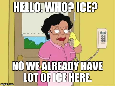 Consuela | HELLO. WHO? ICE? NO WE ALREADY HAVE LOT OF ICE HERE. | image tagged in memes,consuela | made w/ Imgflip meme maker