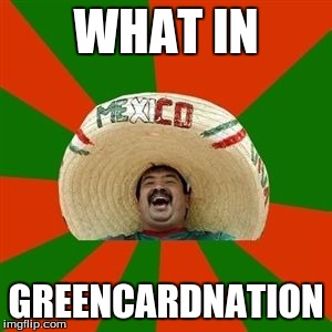 succesful mexican | WHAT IN; GREENCARDNATION | image tagged in succesful mexican | made w/ Imgflip meme maker