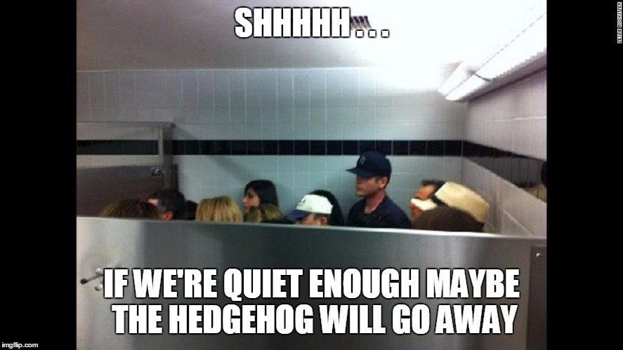 SHHHHH . . . IF WE'RE QUIET ENOUGH MAYBE THE HEDGEHOG WILL GO AWAY | made w/ Imgflip meme maker