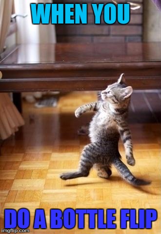 Cool Cat Stroll | WHEN YOU; DO A BOTTLE FLIP | image tagged in memes,cool cat stroll | made w/ Imgflip meme maker