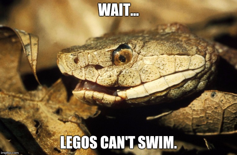 Realisation Snake | WAIT... LEGOS CAN'T SWIM. | image tagged in realisation snake | made w/ Imgflip meme maker