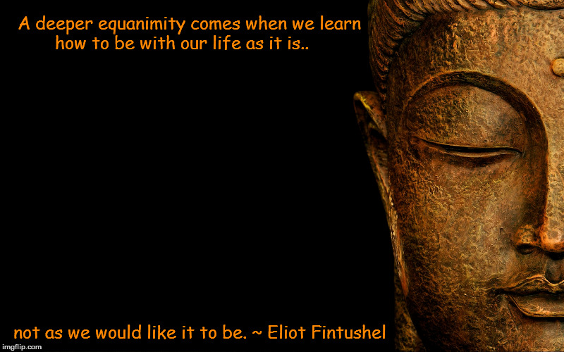 Buddha | A deeper equanimity comes when we learn how to be with our life as it is.. not as we would like it to be. ~ Eliot Fintushel | image tagged in buddha | made w/ Imgflip meme maker