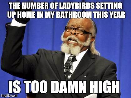 It's great to see nature flourishing and all, but... | THE NUMBER OF LADYBIRDS SETTING UP HOME IN MY BATHROOM THIS YEAR; IS TOO DAMN HIGH | image tagged in memes,too damn high | made w/ Imgflip meme maker