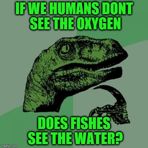 Serious question | IF WE HUMANS DONT SEE THE OXYGEN; DOES FISHES SEE THE WATER? | image tagged in memes,philosoraptor | made w/ Imgflip meme maker