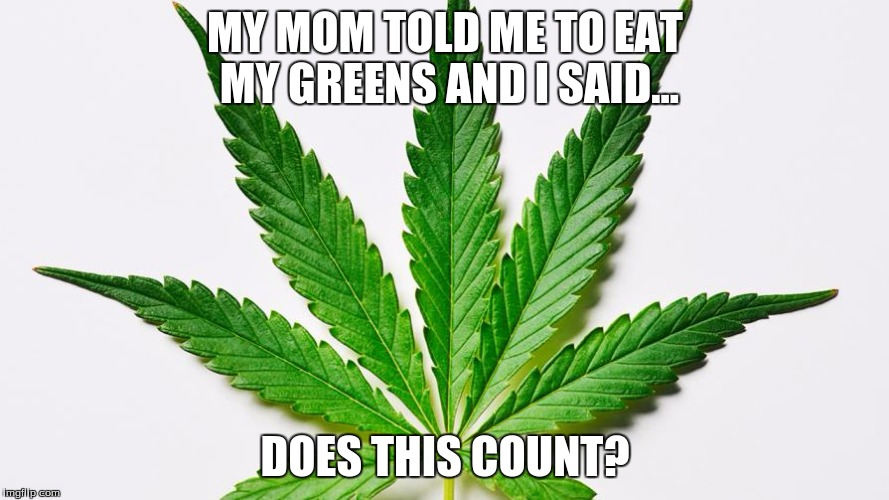 MY MOM TOLD ME TO EAT MY GREENS AND I SAID... DOES THIS COUNT? | image tagged in memes,donald trump,trump,walll,wall,weed | made w/ Imgflip meme maker