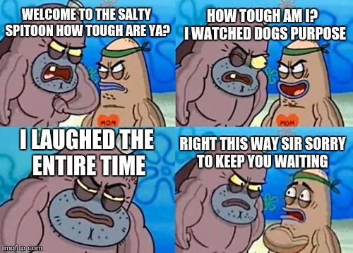How Tough Are You | HOW TOUGH AM I?  I WATCHED DOGS PURPOSE; WELCOME TO THE SALTY SPITOON HOW TOUGH ARE YA? I LAUGHED THE ENTIRE TIME; RIGHT THIS WAY SIR SORRY TO KEEP YOU WAITING | image tagged in memes,how tough are you | made w/ Imgflip meme maker