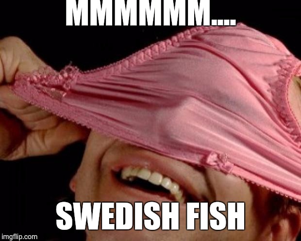 panties on head | MMMMMM.... SWEDISH FISH | image tagged in panties on head | made w/ Imgflip meme maker