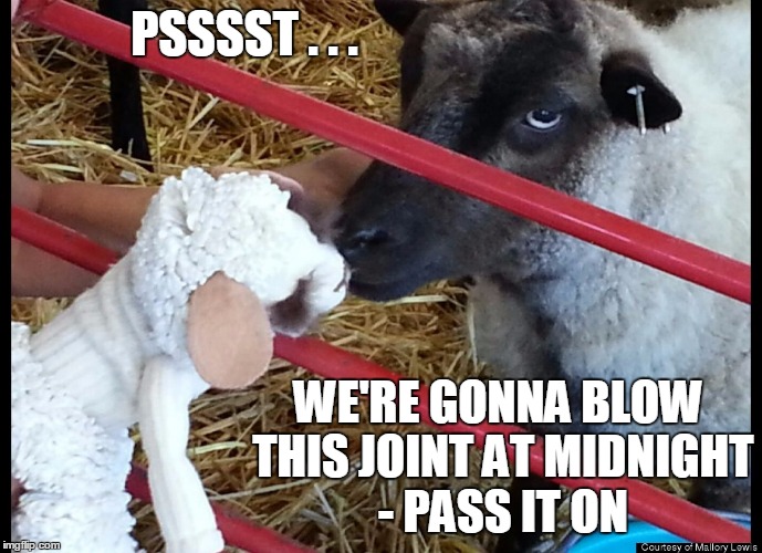 PSSSST . . . WE'RE GONNA BLOW THIS JOINT AT MIDNIGHT - PASS IT ON | made w/ Imgflip meme maker