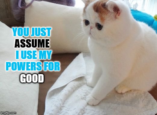 Cat | ASSUME; YOU JUST        I USE MY POWERS FOR; GOOD | image tagged in memes,cats,funny,cat | made w/ Imgflip meme maker