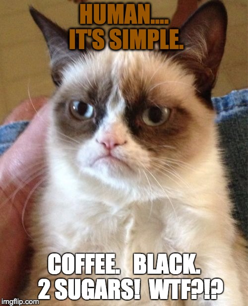 Grumpy Cat Meme | HUMAN.... IT'S SIMPLE. COFFEE.   BLACK.   2 SUGARS!  WTF?!? | image tagged in memes,grumpy cat | made w/ Imgflip meme maker