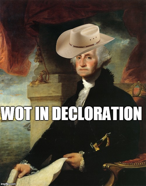 The hat is a freaking magic | WOT IN DECLORATION | image tagged in wot in tarnation,history,george wasghington,decloration of independance,memes,funny | made w/ Imgflip meme maker