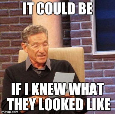 Maury Lie Detector Meme | IT COULD BE IF I KNEW WHAT THEY LOOKED LIKE | image tagged in memes,maury lie detector | made w/ Imgflip meme maker