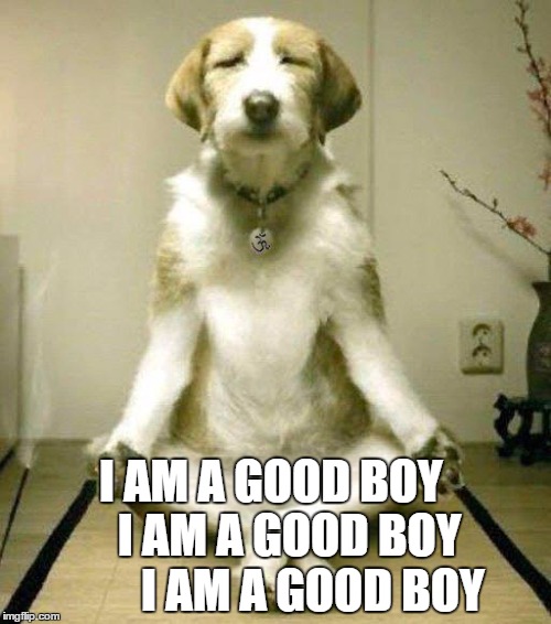 I AM A GOOD BOY     I AM A GOOD BOY          I AM A GOOD BOY | made w/ Imgflip meme maker