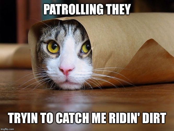 PATROLLING THEY TRYIN TO CATCH ME RIDIN' DIRT | image tagged in catroll | made w/ Imgflip meme maker