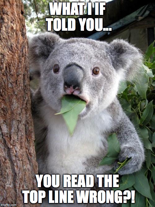 Surprised Koala Meme | WHAT I IF TOLD YOU... YOU READ THE TOP LINE WRONG?! | image tagged in memes,surprised koala | made w/ Imgflip meme maker