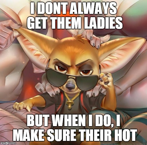 I DONT ALWAYS GET THEM LADIES; BUT WHEN I DO, I MAKE SURE THEIR HOT | image tagged in zootopia,finnick | made w/ Imgflip meme maker