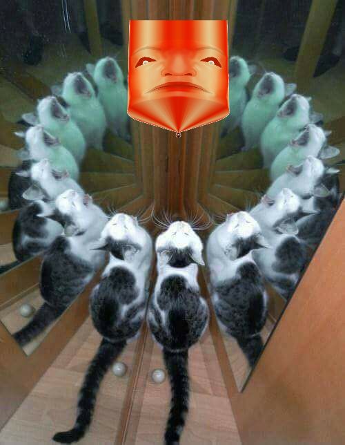 Tron cat master control program Blank Meme Template