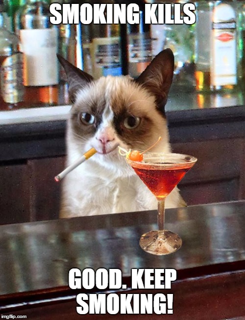 Grumpy cat  | SMOKING KILLS; GOOD. KEEP SMOKING! | image tagged in grumpy cat | made w/ Imgflip meme maker