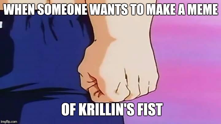 Krillin's fist | WHEN SOMEONE WANTS TO MAKE A MEME; OF KRILLIN'S FIST | image tagged in krillin's fist | made w/ Imgflip meme maker