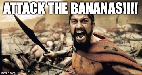 Sparta Leonidas | ATTACK THE BANANAS!!!! | image tagged in memes,sparta leonidas | made w/ Imgflip meme maker