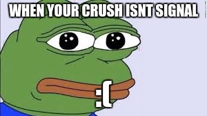 pepe | WHEN YOUR CRUSH ISNT SIGNAL; :( | image tagged in pepe | made w/ Imgflip meme maker