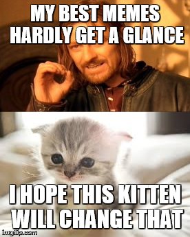 MY BEST MEMES HARDLY GET A GLANCE; I HOPE THIS KITTEN WILL CHANGE THAT | image tagged in kittens | made w/ Imgflip meme maker