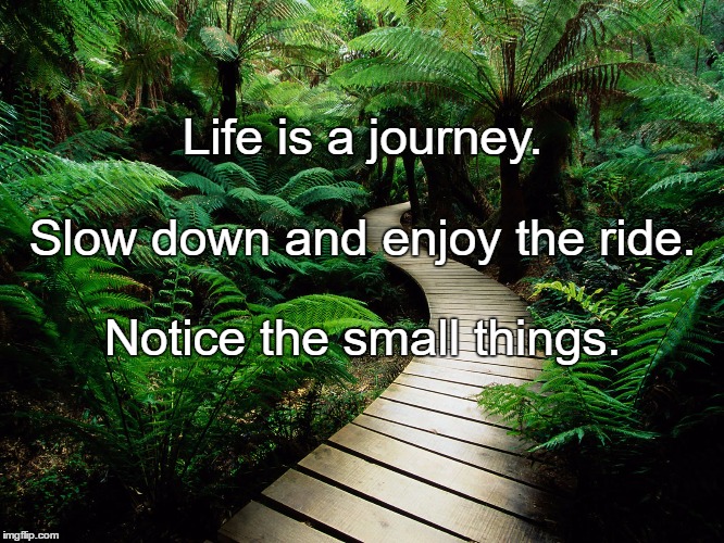 Path  | Life is a journey. Slow down and enjoy the ride. Notice the small things. | image tagged in path | made w/ Imgflip meme maker