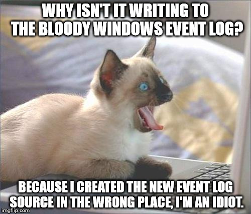 cat programmer | WHY ISN'T IT WRITING TO THE BLOODY WINDOWS EVENT LOG? BECAUSE I CREATED THE NEW EVENT LOG SOURCE IN THE WRONG PLACE, I'M AN IDIOT. | image tagged in cat programmer | made w/ Imgflip meme maker