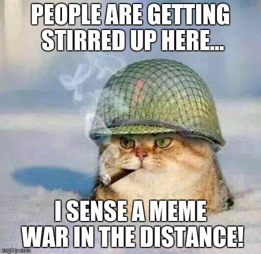 Looking at you evilmandoevil! | PEOPLE ARE GETTING STIRRED UP HERE... I SENSE A MEME WAR IN THE DISTANCE! | image tagged in war cat,meme war,memes,evilmandoevil,cat | made w/ Imgflip meme maker