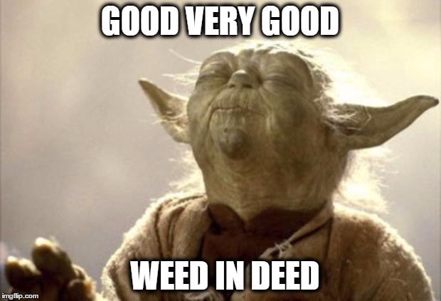 IN 2013 YODA BE LIKE | GOOD VERY GOOD; WEED IN DEED | image tagged in in 2013 yoda be like | made w/ Imgflip meme maker
