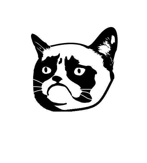 High Quality Grumpy Cat Anarchy Ball Blank Meme Template