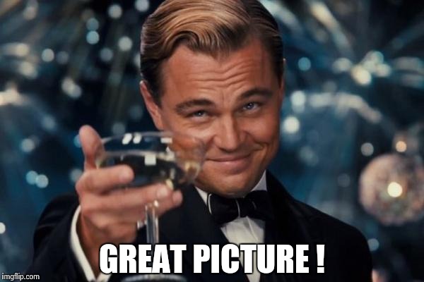 Leonardo Dicaprio Cheers Meme | GREAT PICTURE ! | image tagged in memes,leonardo dicaprio cheers | made w/ Imgflip meme maker