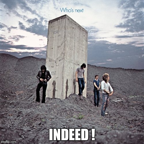 INDEED ! | image tagged in who's next | made w/ Imgflip meme maker